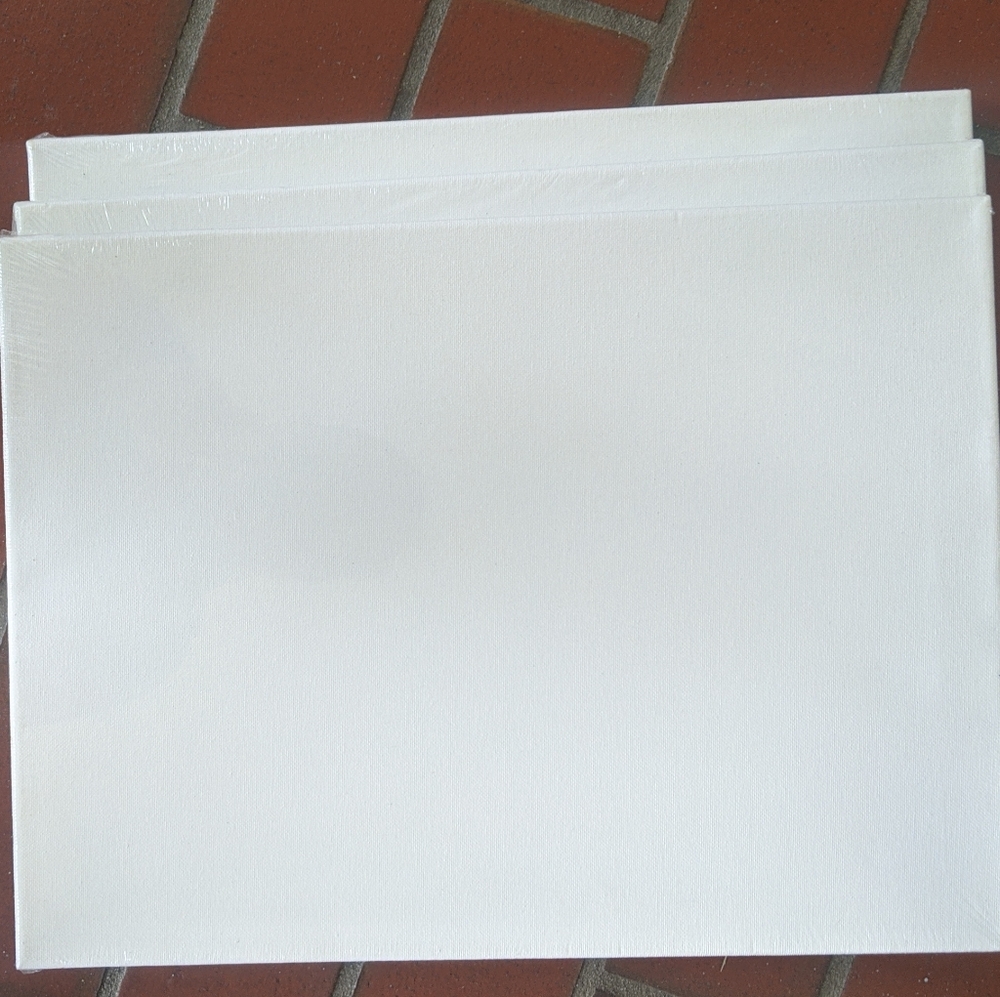3 Blank painting canvas 16"x20"